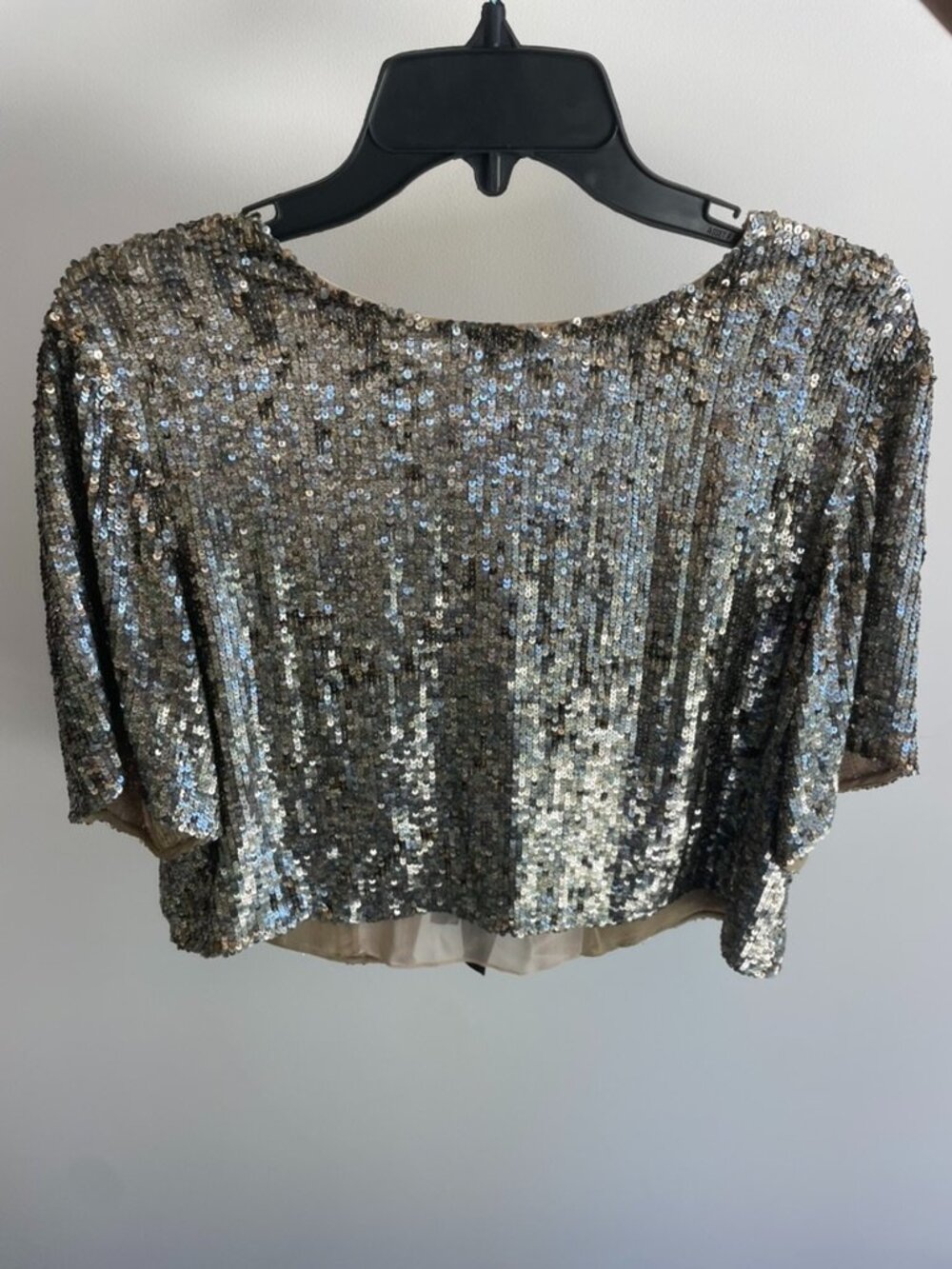 Silver Sequin Cropped Blouse Sparkly Party Top